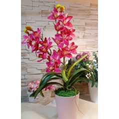 Rózsaszín gondozás mentes cymbidium 