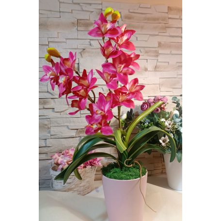 Rózsaszín gondozás mentes cymbidium 