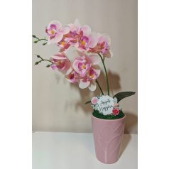 Gondozás mentes orchidea