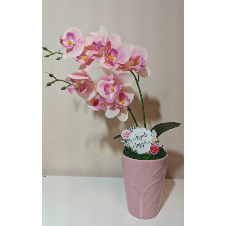 Gondozás mentes orchidea