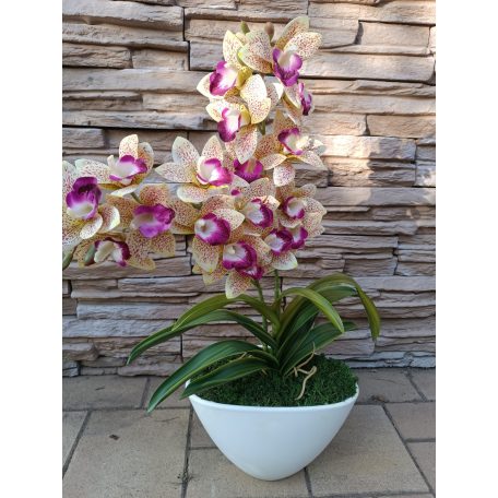 Gondozás mentes orchidea